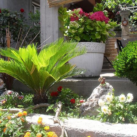 Apartments Sandra Tivat Exterior foto